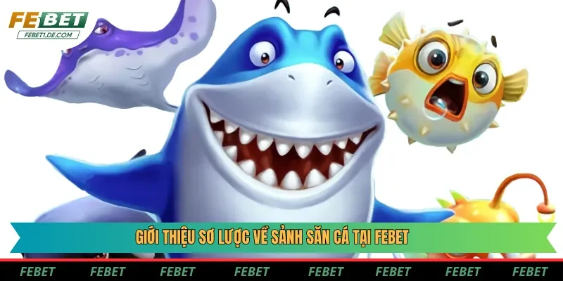 Giới thiệu sơ lược về sảnh săn cá tại Febet