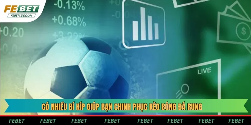 Có nhiều bí kíp giúp bạn chinh phục kèo bóng đá rung